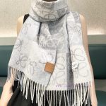 New Customers Only, Limit One. The Unisex Roewe LW Striped Long Scarf Is Very Lucky To Have Received Something From This Brand n2huv5g7 - Image 2