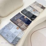 New Customers Only, Limit One. The Unisex Roewe LW Striped Long Scarf Is Very Lucky To Have Received Something From This Brand dgyhgrmr - Image 3