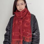 New Customers Only, Limit One. The New Coach Diagonal C Letter Popular Three Color Shawl From Coach Is Also So Beautiful Not O 6vjyi8l7