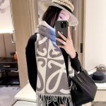 New Customers Only, Limit One. New Style ✨💕 Synchronize LOEWE | Double Sided Color Blocked Cashmere Wool Scarf 🤎💗The Color Sch 3omjpa7m