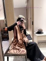 New Customers Only, Limit One. New Style ✨💕 Synchronize LOEWE | Double Sided Color Blocked Cashmere Wool Scarf 🤎💗The Color Sch 3omjpa7m - Image 5