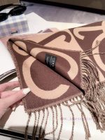 New Customers Only, Limit One. New Style ✨💕 Synchronize LOEWE | Double Sided Color Blocked Cashmere Wool Scarf 🤎💗The Color Sch 3omjpa7m - Image 7