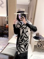 New Customers Only, Limit One. New Style ✨💕 Synchronize LOEWE | Double Sided Color Blocked Cashmere Wool Scarf 🤎💗The Color Sch 3omjpa7m - Image 8