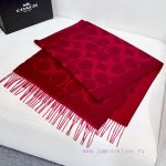 New Customers Only, Limit One. COCAH's New Large C Letters Are All In High Demand. Coach's Classic C Letters Are So Beautiful thm9syey - Image 7