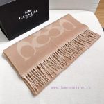 New Customers Only, Limit One. COCAH's New Large C Letters Are All In High Demand. Coach's Classic C Letters Are So Beautiful pke3s8kq - Image 5