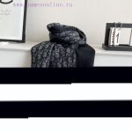 New Customers Only, Limit One. Dior's New Collection Of DD Scarves Is Coming Classic Styles Will Never Go Out Of Style And The f8vdz1uh - Image 9