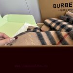New Customers Only, Limit One. Burberry's Classic Checkered New Embroidery Looks Crazy It's So Stylish And Charming. I Really 836hvq6j - Image 9